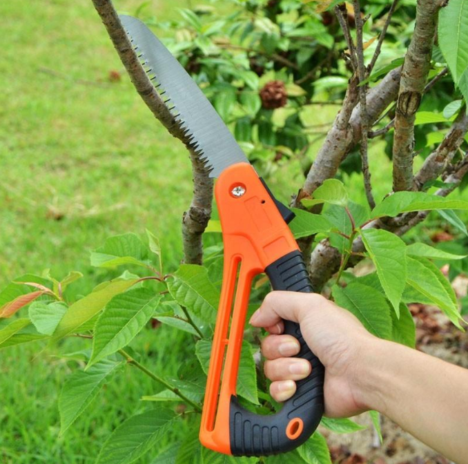 Pruning Saw - Image 2