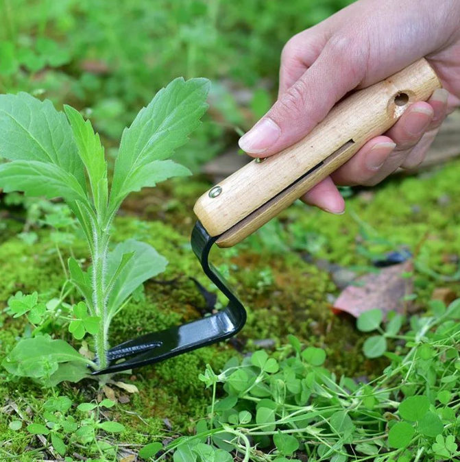 Wooden Garden Hand Weeder - Image 2